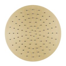 Herzbach DESIGN IX PVD Regenbrause round Ø 300 mm Brass