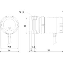 Grundfos Zirkulationspumpe COMFORT DACH 15-14BA, 1/2 80mm