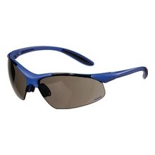 Promat Schutzbrille Daylight Premium PC-Scheibe smoke, Bügel: du-blau